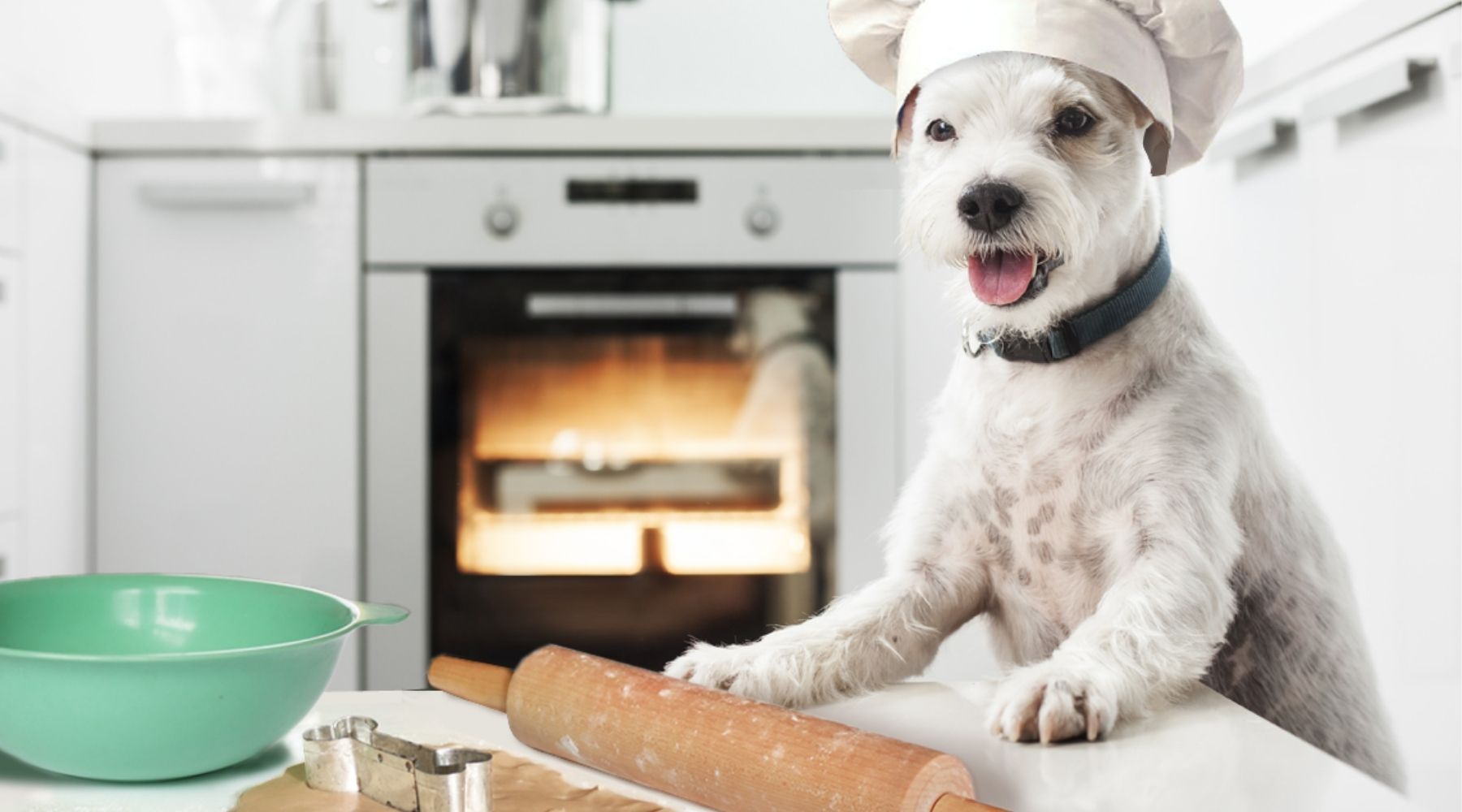 Baking for your dog hotsell