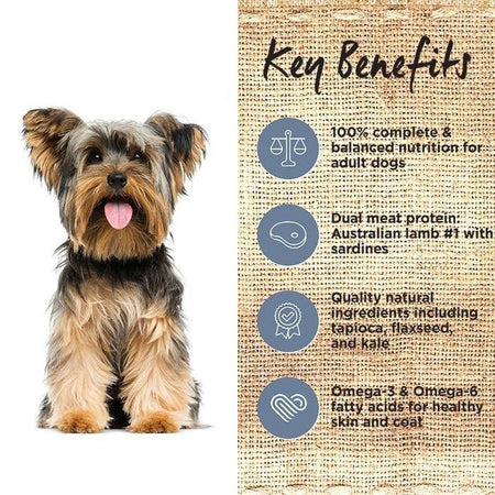 Ivory Coat Grain Free Lamb and Sardine | Pet Food Leaders