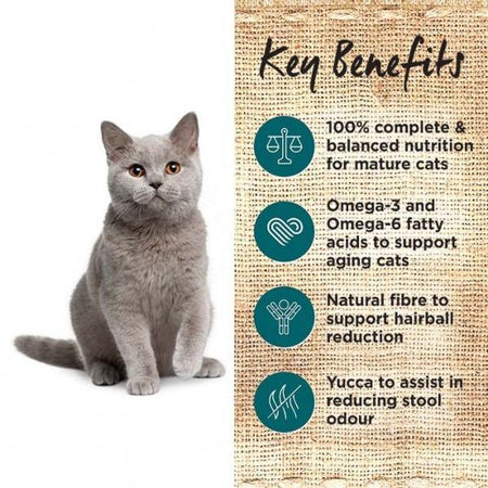 Ivory Coat Mature Cat Grain Free Salmon and Chicken | Pet Food Leaders