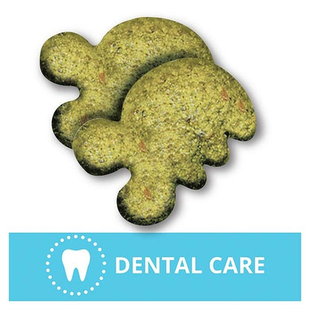 Greenies Cat Dental Treat Chicken | Pet Food Leaders