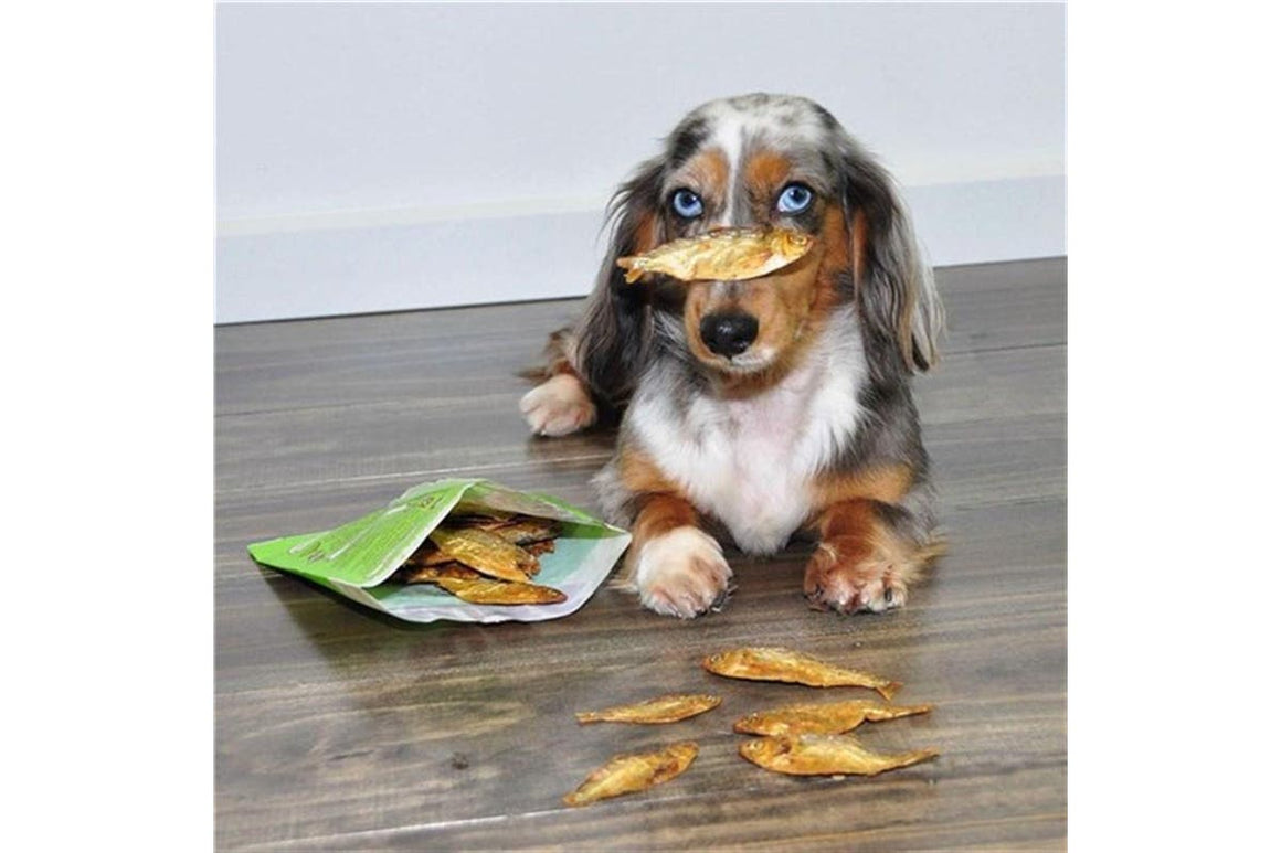 WAG Forage Fish 200g | Dog Treats | Pet Food Leaders