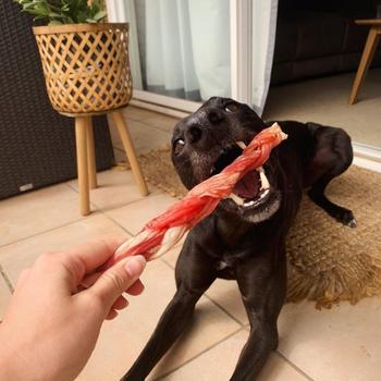 WAG Braided Bully Stick Large | Dog treats | Pet Food Leaders