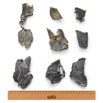 WAG Venison 200g | Dog Treats | Pet Food Leaders