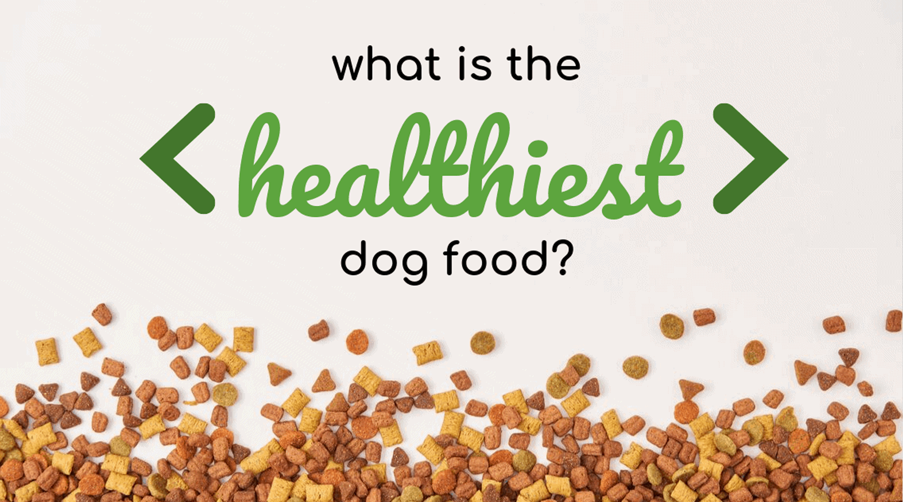 Trusting the Pet Food Industry