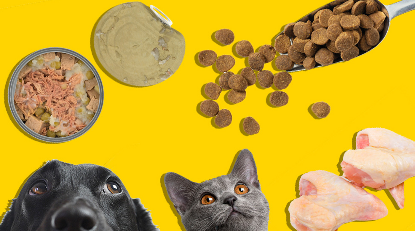 Premium vs. Grocery Pet Food: Is it worth it?