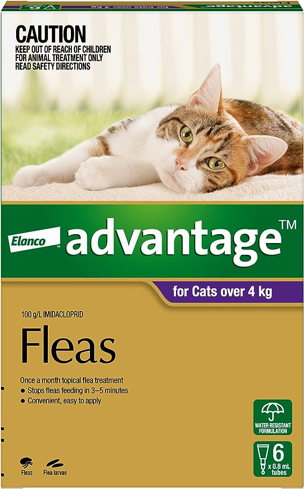 Advantage | Cat Flea Treatment | over 4Kg | Pet Food Leaders 