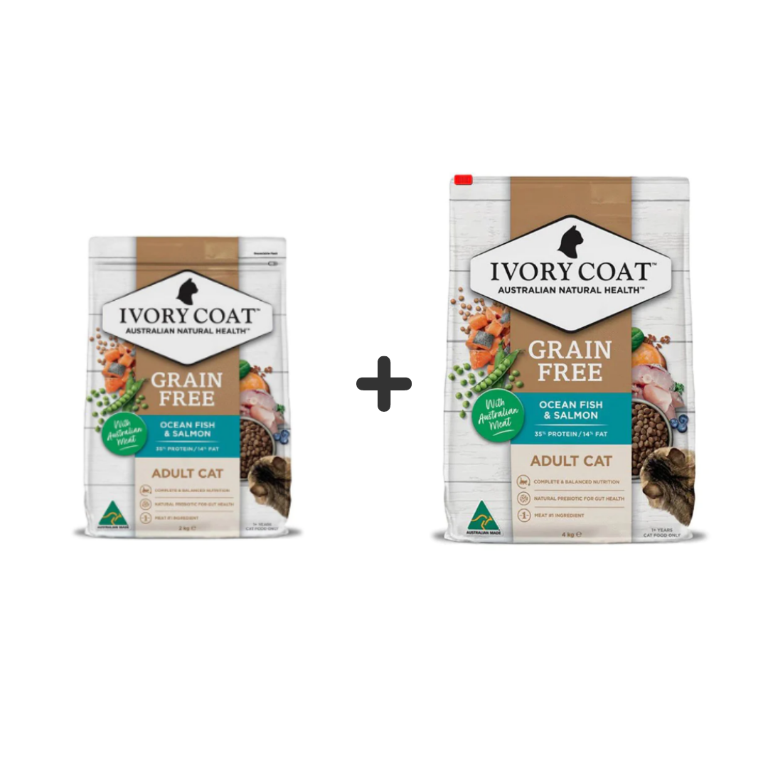 Ivory sales coat salmon