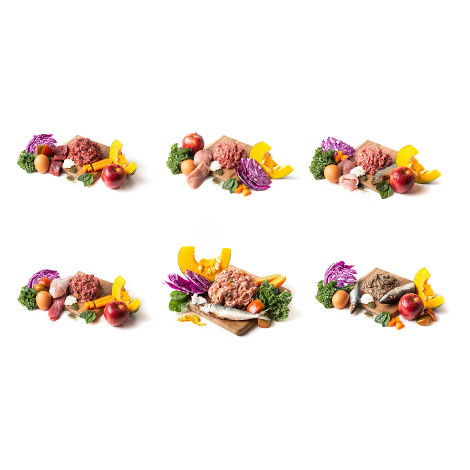 Canine Country Variety Pack Barf | Pet Food Leaders