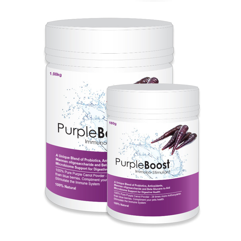 LifeWise Purple Boost 108g | Pet Food Leaders