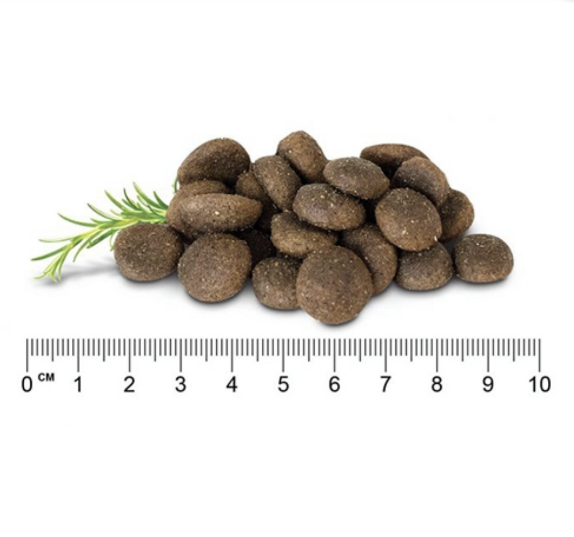 Stay Loyal Chicken, Lamb and Fish Grain Free size | Pet Food Leaders