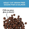 Ivory Coat Cat Grain Free Ocean Fish and Salmon | Pet Food Leaders