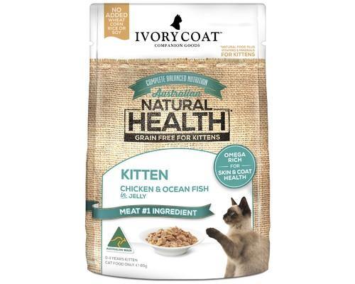 Ivory coat kitten store food