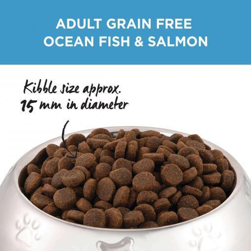 Ivory Coat Grain Free Ocean Fish & Salmon | Pet Food Leaders