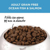 Ivory Coat Grain Free Ocean Fish &amp; Salmon | Pet Food Leaders