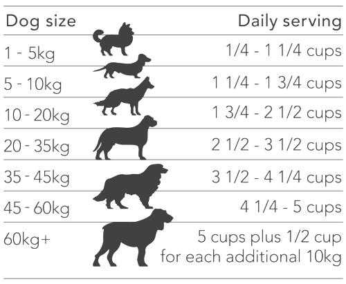 Man's Best Adult All Breed Lamb Feeding Guide | Pet Food Leaders