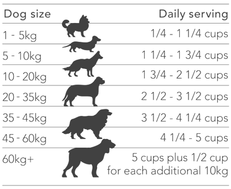 Man's Best Adult All Breed Lamb Feeding Guide | Pet Food Leaders