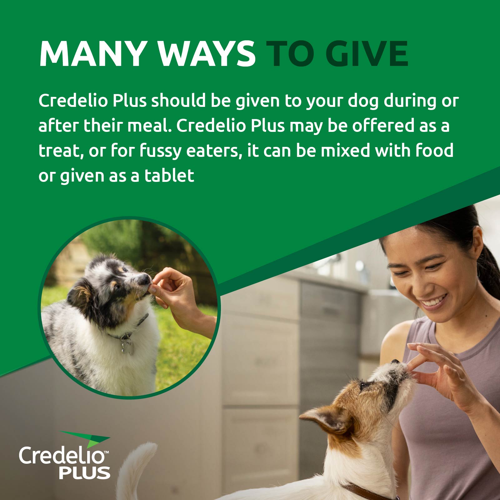 CREDELIO PLUS FOR LARGE DOGS 11 - 22 KG GREEN How to | Pet Food Leaders