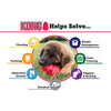 Kong Puppy Teething Stick | Dental Care | Puppy Care | Pet Food Leaders