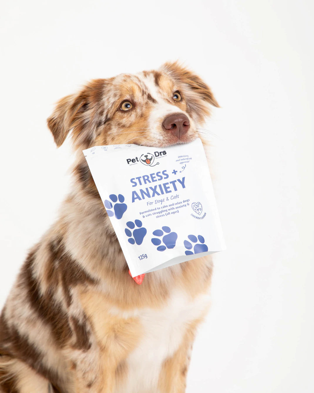 Pet Drs Stress + Anxiety Supplement | Dogs & Cats | Pet supplements | Pet Food Leaders 