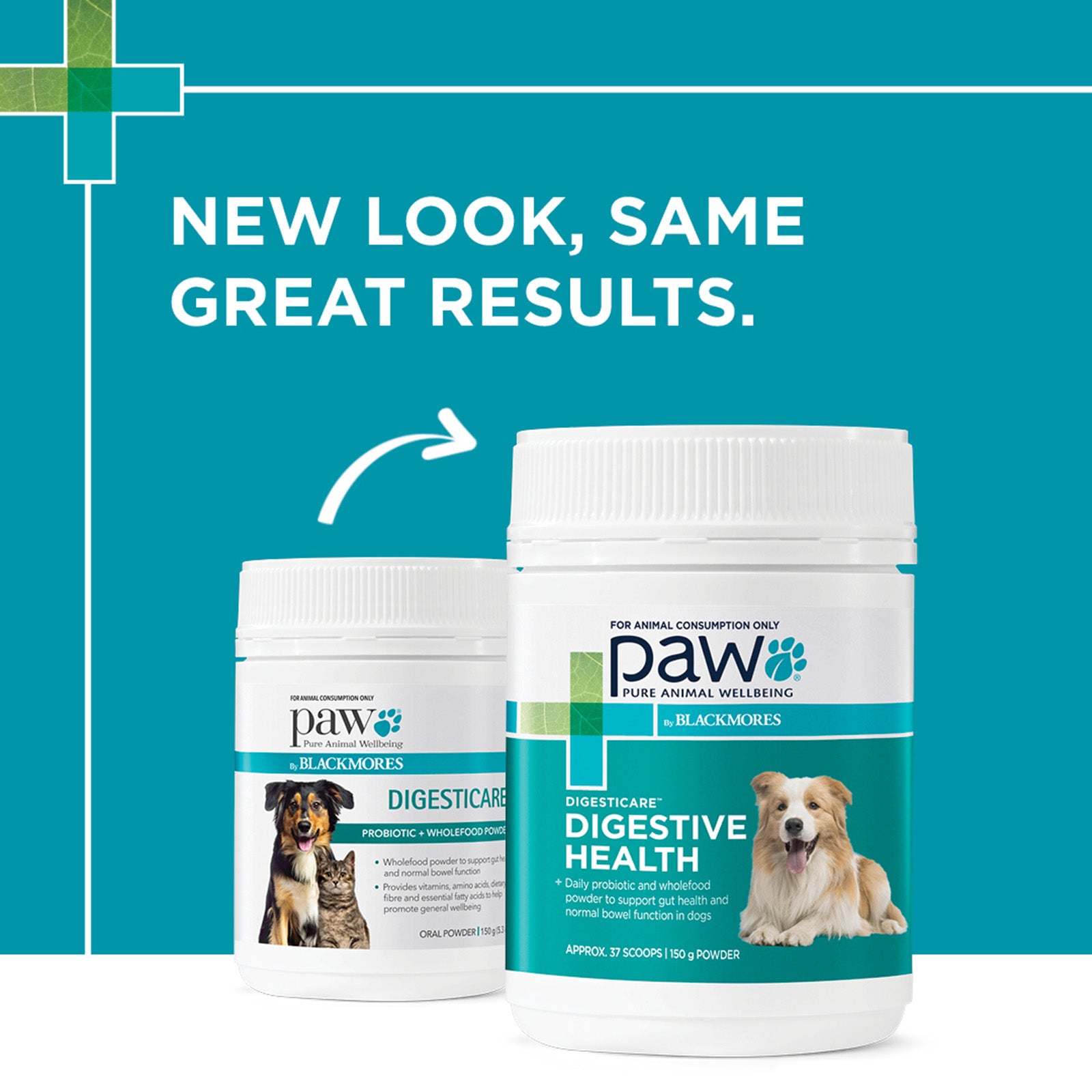 PAW By Blackmores DigestiCare 60 ProBiotic + WholeFood Powder