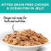 Ivory Coat Kitten Chicken &amp; Ocean Fish Jelly 12 x 85g | Pet Food Leaders