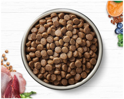 Best price ivory coat dog food discount