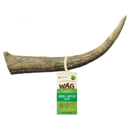 WAG Whole Deer Antler Medium | Dog treats | Pet Food Leaders