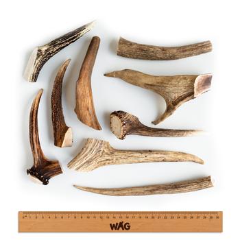 WAG Whole Deer Antler - Small | Dog treats | Pet Food Leaders